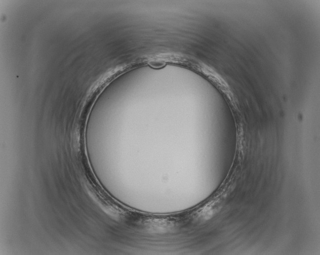 X0000080670298200612301407