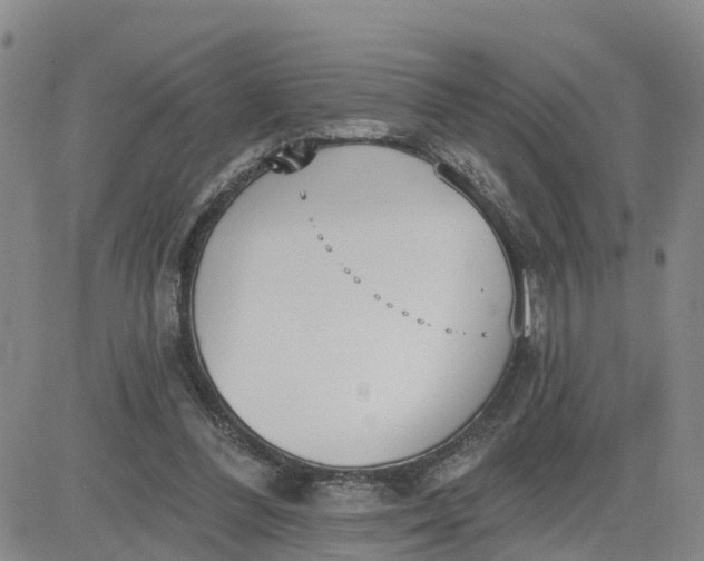 X0000080670300200612301407