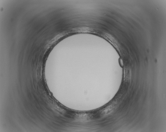 X0000080670301200612301407