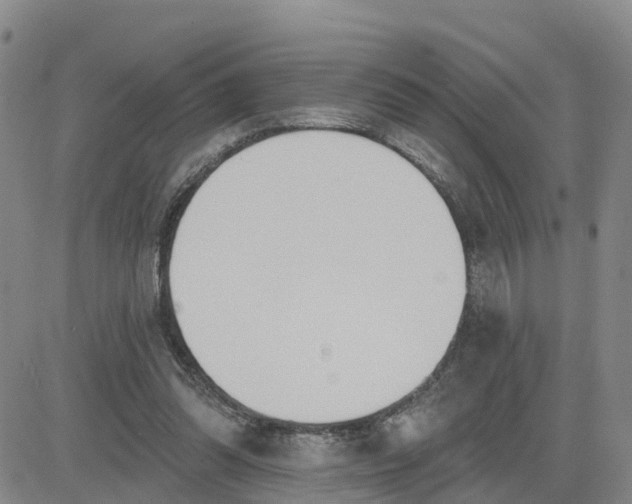 X0000080670302200612301407