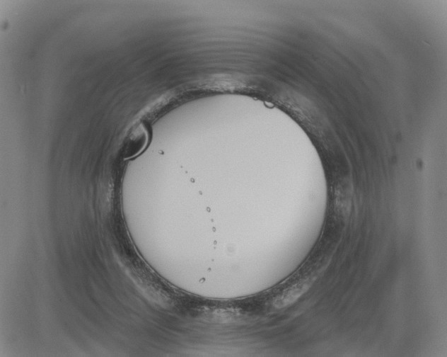 X0000080670304200612301407