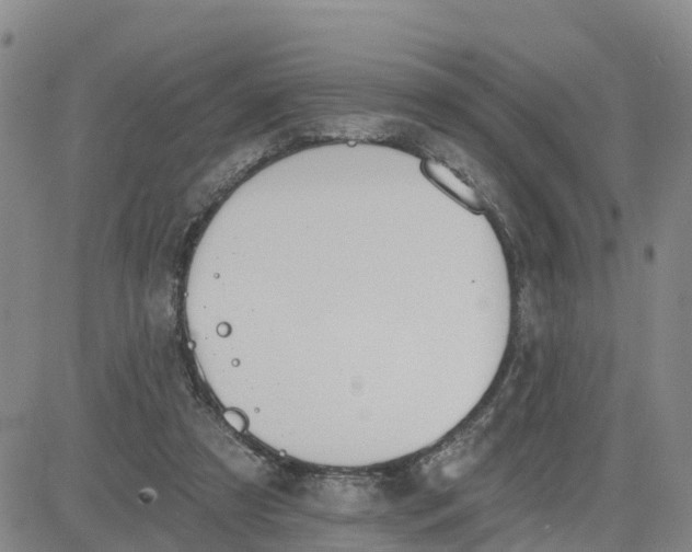 X0000080670305200612301406