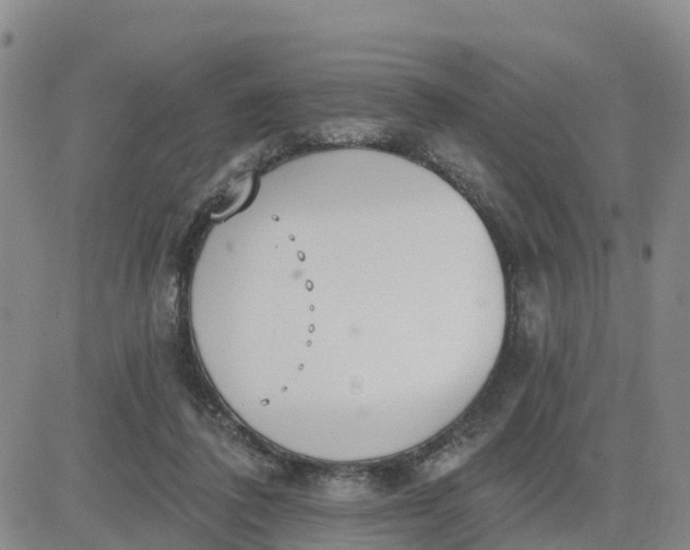 X0000080670308200612301406