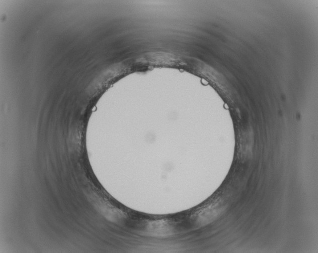 X0000080670309200612301406