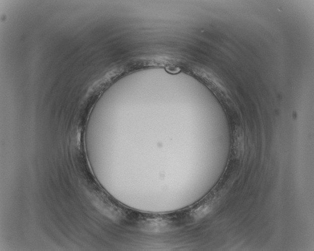 X0000080670310200612301406