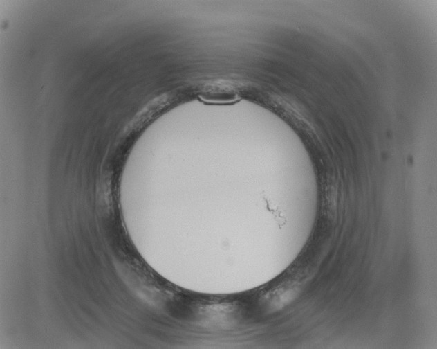 X0000080670312200612301406