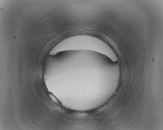 X0000080670313200612301406