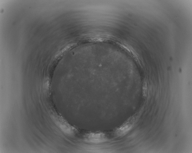 X0000080670314200612301406