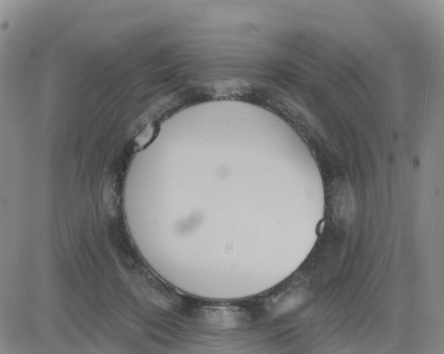 X0000080670316200612301406