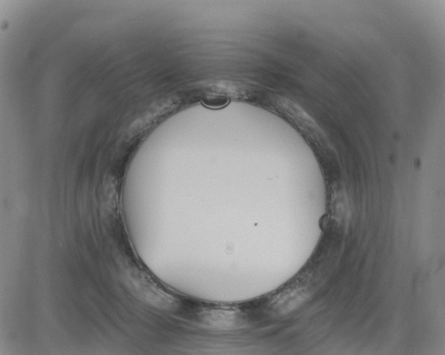 X0000080670318200612301406