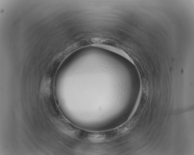 X0000080670319200612301406