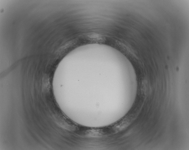 X0000080670320200612301406