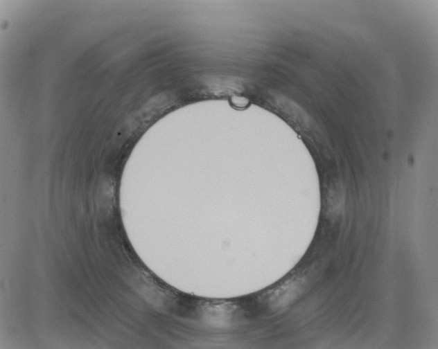 X0000080670321200612301406