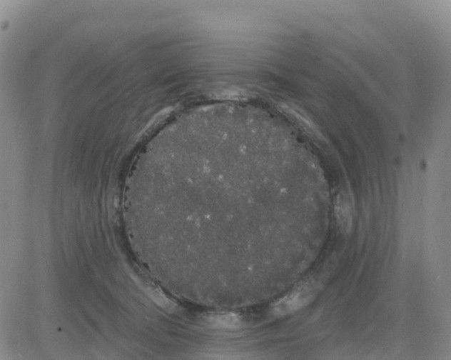 X0000080670322200612301406