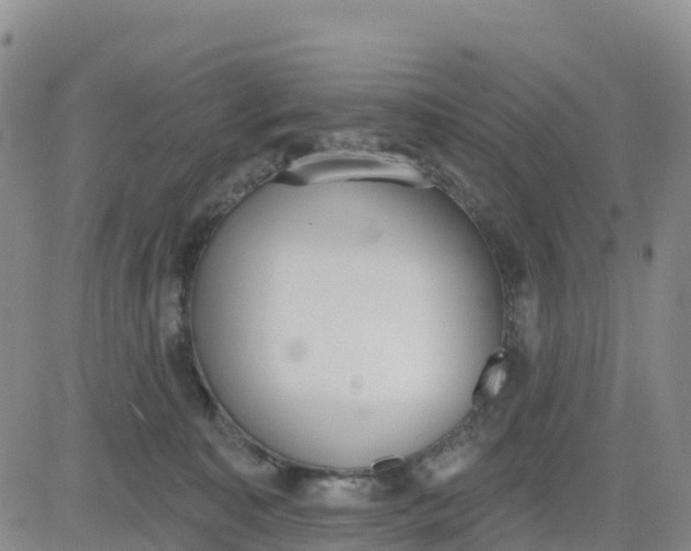 X0000080670323200612301406