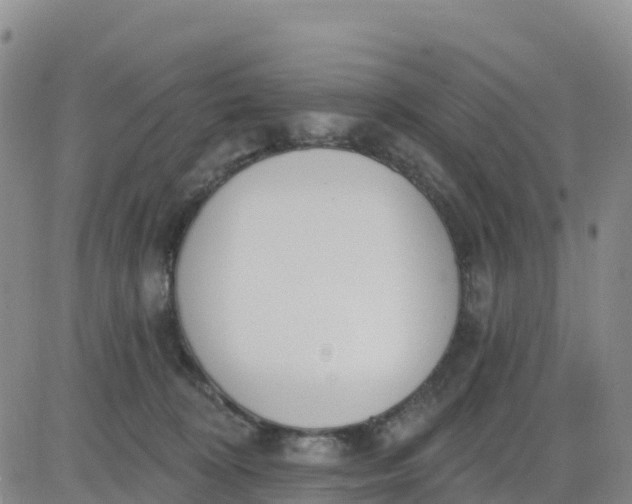 X0000080670324200612301406