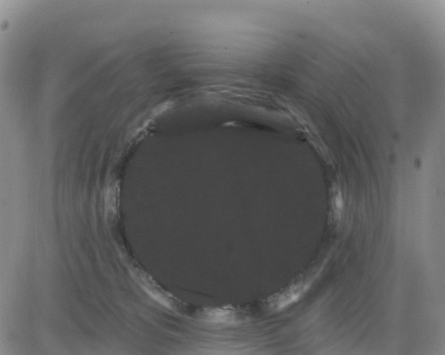 X0000080670325200612301406