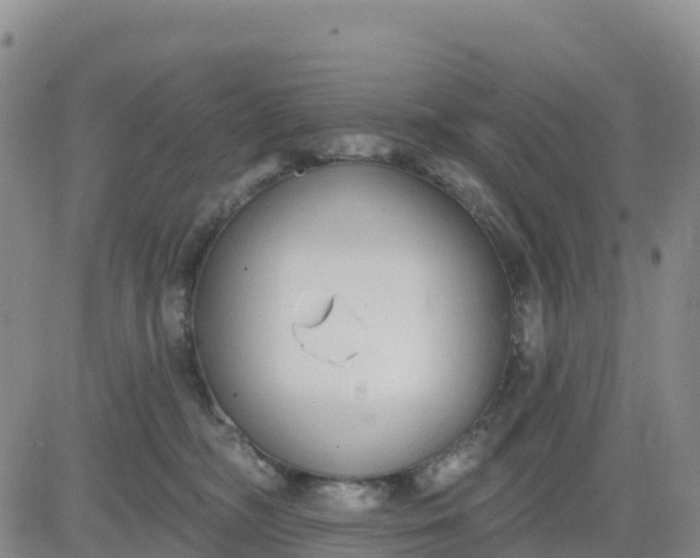 X0000080670326200612301406