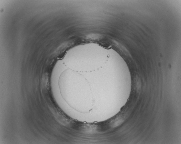 X0000080670328200612301406