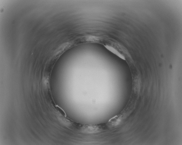 X0000080670329200612301406