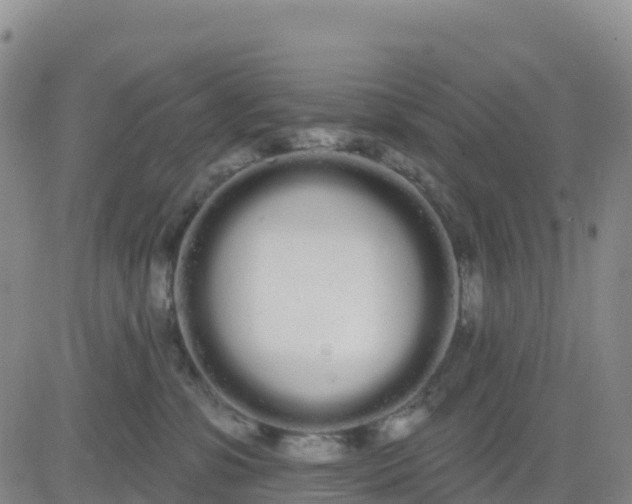 X0000080670331200612301406