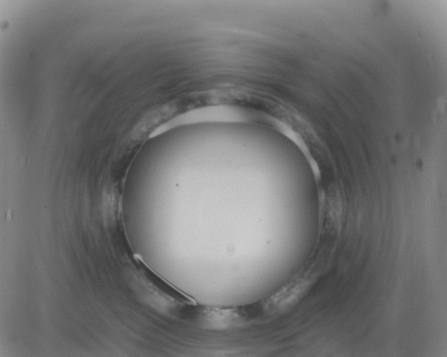 X0000080670333200612301406