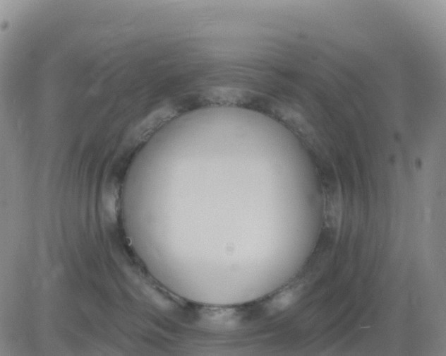 X0000080670334200612301406