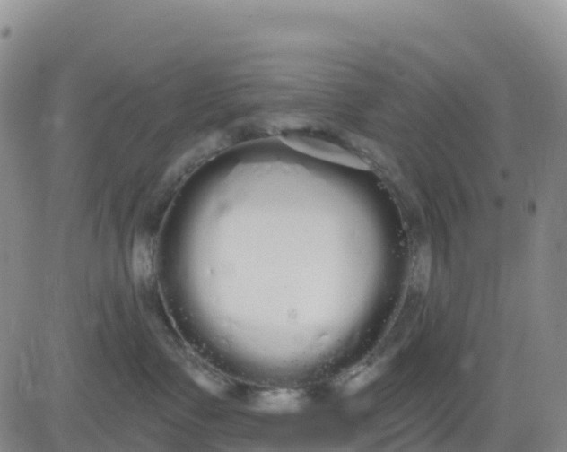 X0000080670335200612301406