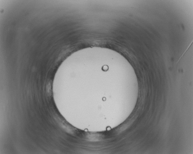 X0000080670336200612301406