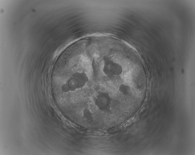 X0000080670337200612301405