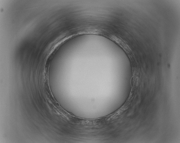 X0000080670338200612301405