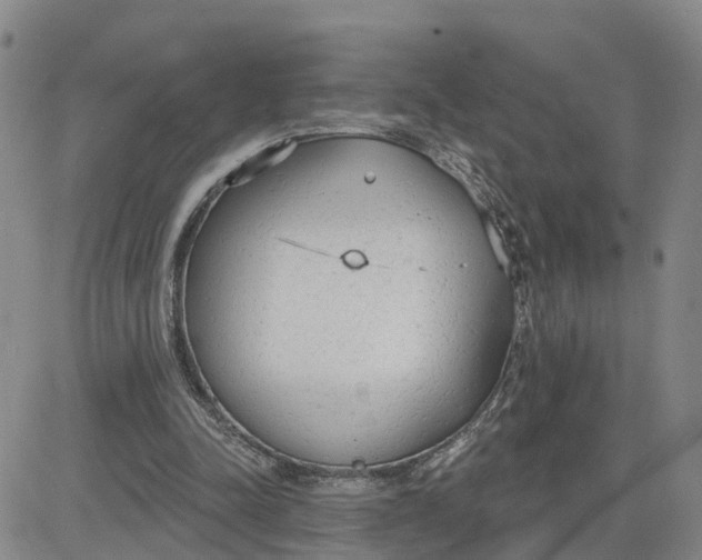 X0000080670342200612301405