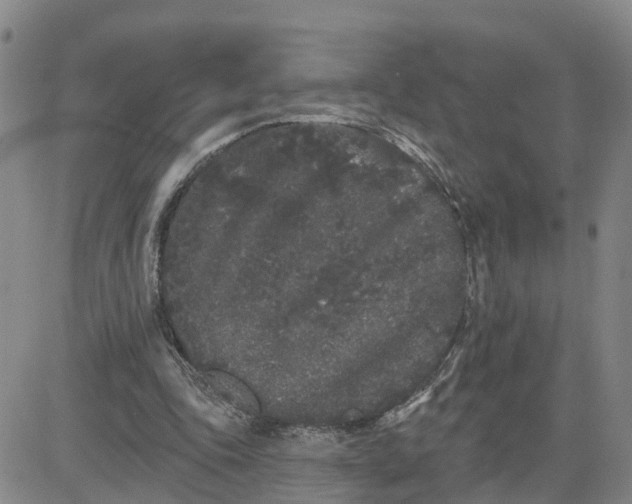 X0000080670343200612301405