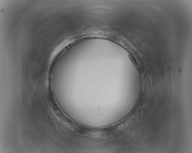 X0000080670344200612301405