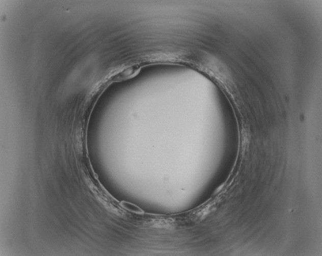 X0000080670345200612301405