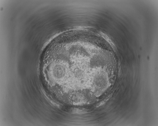 X0000080670346200612301405