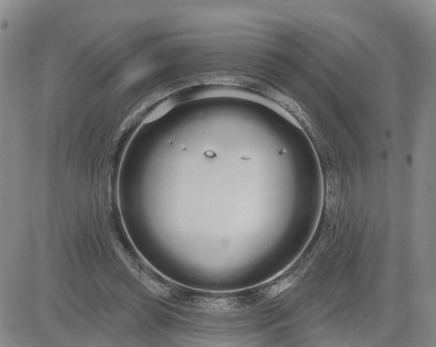 X0000080670349200612301405