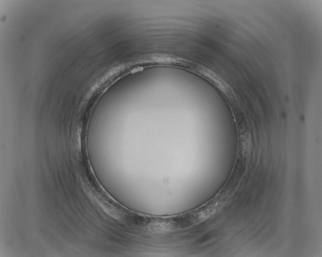 X0000080670350200612301405