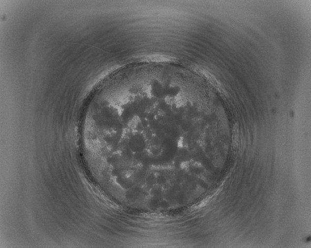 X0000080670351200612301405