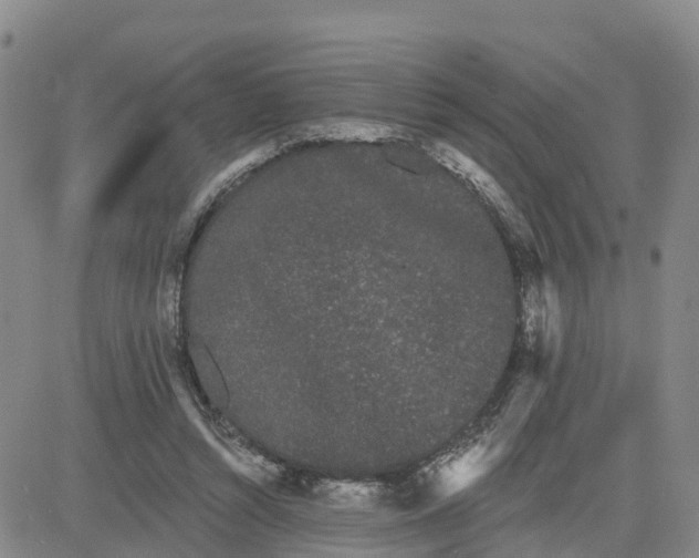 X0000080670352200612301405