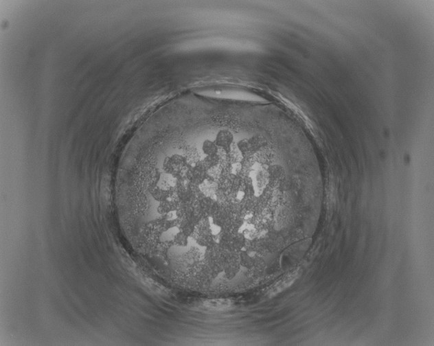 X0000080670353200612301405