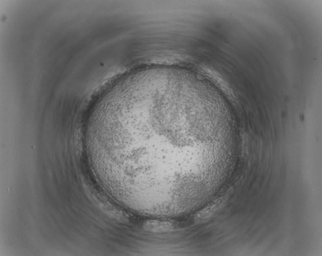 X0000080670354200612301405