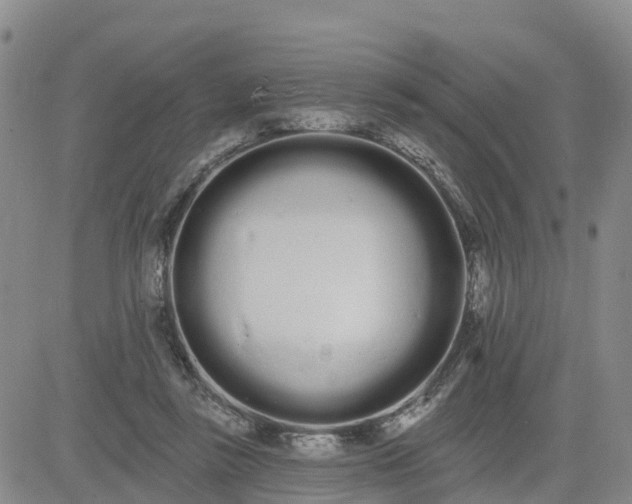 X0000080670355200612301406