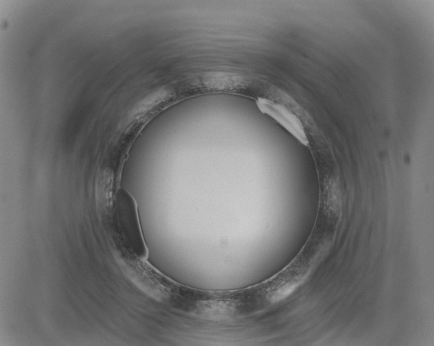 X0000080670356200612301406