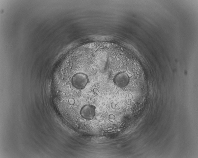 X0000080670357200612301406