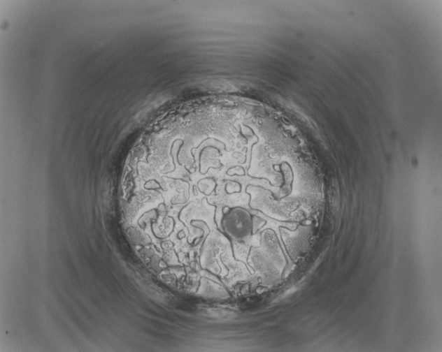 X0000080670359200612301406