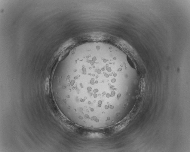 X0000080670360200612301406