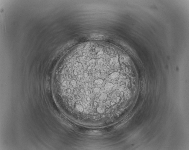 X0000080670361200612301406