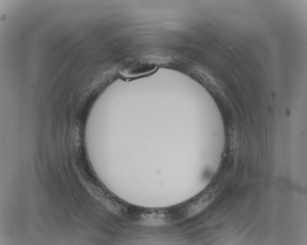 X0000080670362200612301406