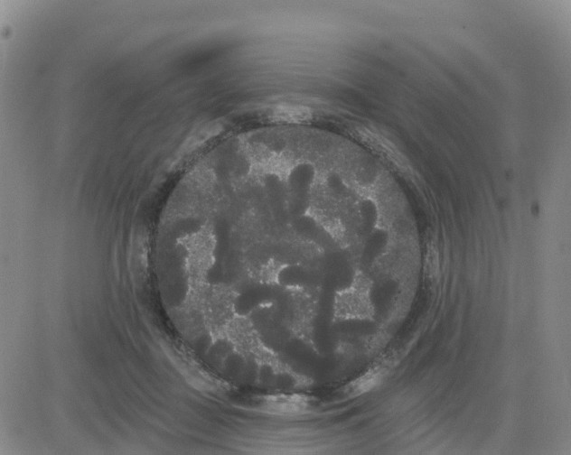 X0000080670363200612301406